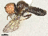  ( - BIOUG12674-E08)  @11 [ ] CreativeCommons - Attribution Share - Alike (2025) CBG Photography Group Centre for Biodiversity Genomics