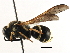  ( - BIOUG12730-D08)  @12 [ ] CreativeCommons - Attribution (2016) CBG Photography Group Centre for Biodiversity Genomics