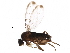  ( - BIOUG12823-F01)  @15 [ ] CreativeCommons - Attribution (2016) CBG Photography Group Centre for Biodiversity Genomics