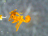  ( - RE21-NG1-HYM-0035)  @11 [ ] by-nc-sa (2024) Nina Grella University of Bayreuth