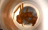  ( - RE21-NG1-HYM-0079)  @11 [ ] by-nc-sa (2024) Nina Grella University of Bayreuth