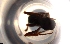  ( - RE21-NG1-HYM-0109)  @11 [ ] CreativeCommons by-nc-sa (2024) Nina Grella University of Bayreuth