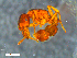  ( - RE21-NG1-HYM-0181)  @11 [ ] CreativeCommons by-nc-sa (2024) Nina Grella University of Bayreuth