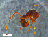  ( - RE21-NG1-HYM-0190)  @11 [ ] CreativeCommons by-nc-sa (2024) Nina Grella University of Bayreuth