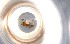  ( - RE21-NG1-HYM-0223)  @11 [ ] CreativeCommons by-nc-sa (2024) Nina Grella University of Bayreuth