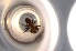  ( - RE21-NG1-HYM-0245)  @11 [ ] CreativeCommons by-nc-sa (2024) Nina Grella University of Bayreuth