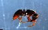 ( - RE21-NG1-HYM-0280)  @11 [ ] CreativeCommons by-nc-sa (2024) Nina Grella University of Bayreuth