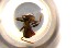  ( - RE21-NG1-HYM-0312)  @11 [ ] CreativeCommons by-nc-sa (2024) Nina Grella University of Bayreuth