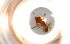  ( - RE21-NG1-HYM-0313)  @11 [ ] CreativeCommons by-nc-sa (2024) Nina Grella University of Bayreuth
