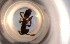  ( - RE21-NG1-HYM-0324)  @11 [ ] CreativeCommons by-nc-sa (2024) Nina Grella University of Bayreuth