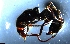  ( - RE21-NG1-HYM-0340)  @11 [ ] CreativeCommons by-nc-sa (2024) Nina Grella University of Bayreuth