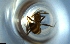  ( - RE21-NG1-HYM-0357)  @11 [ ] CreativeCommons by-nc-sa (2024) Nina Grella University of Bayreuth