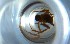  ( - RE21-NG1-HYM-0380)  @11 [ ] CreativeCommons by-nc-sa (2024) Nina Grella University of Bayreuth