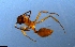  ( - RE21-NG1-HYM-0403)  @11 [ ] CreativeCommons by-nc-sa (2024) Nina Grella University of Bayreuth
