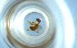  ( - RE21-NG1-HYM-0413)  @11 [ ] CreativeCommons by-nc-sa (2024) Nina Grella University of Bayreuth