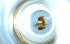  ( - RE21-NG1-HYM-0414)  @11 [ ] CreativeCommons by-nc-sa (2024) Nina Grella University of Bayreuth