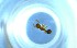  ( - RE21-NG1-HYM-0588)  @11 [ ] CreativeCommons by-nc-sa (2024) Nina Grella University of Bayreuth