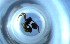  ( - RE21-NG1-HYM-0589)  @11 [ ] CreativeCommons by-nc-sa (2024) Nina Grella University of Bayreuth