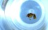  ( - RE21-NG1-HYM-0652)  @11 [ ] CreativeCommons by-nc-sa (2024) Nina Grella University of Bayreuth