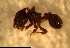  ( - RE21-NG1-HYM-0683)  @11 [ ] CreativeCommons by-nc-sa (2024) Nina Grella University of Bayreuth