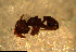  ( - RE21-NG1-HYM-0690)  @11 [ ] CreativeCommons by-nc-sa (2024) Nina Grella University of Bayreuth