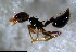  ( - RE21-NG1-HYM-0711)  @11 [ ] CreativeCommons by-nc-sa (2024) Nina Grella University of Bayreuth