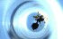  ( - RE21-NG1-HYM-0730)  @11 [ ] CreativeCommons by-nc-sa (2024) Nina Grella University of Bayreuth