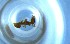  ( - RE21-NG1-HYM-0740)  @11 [ ] CreativeCommons by-nc-sa (2024) Nina Grella University of Bayreuth