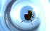  ( - RE21-NG1-HYM-0745)  @11 [ ] CreativeCommons by-nc-sa (2024) Nina Grella University of Bayreuth