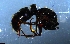  ( - RE21-NG1-HYM-0755)  @11 [ ] CreativeCommons by-nc-sa (2024) Nina Grella University of Bayreuth
