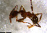  ( - RE21-NG1-HYM-0825)  @11 [ ] CreativeCommons by-nc-sa (2024) Nina Grella University of Bayreuth