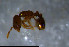  ( - RE21-NG1-HYM-0920)  @11 [ ] CreativeCommons by-nc-sa (2024) Nina Grella University of Bayreuth