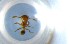  ( - RE21-NG1-HYM-0949)  @11 [ ] CreativeCommons by-nc-sa (2024) Nina Grella University of Bayreuth