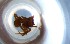  ( - RE21-NG1-HYM-0965)  @11 [ ] CreativeCommons by-nc-sa (2024) Nina Grella University of Bayreuth