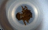  ( - RE21-NG1-HYM-0979)  @11 [ ] CreativeCommons by-nc-sa (2024) Nina Grella University of Bayreuth
