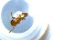  ( - RE21-NG1-HYM-1070)  @11 [ ] CreativeCommons by-nc-sa (2024) Nina Grella University of Bayreuth