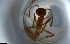  ( - RE21-NG1-HYM-1079)  @11 [ ] CreativeCommons by-nc-sa (2024) Nina Grella University of Bayreuth