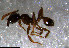  ( - RE21-NG1-HYM-1104)  @11 [ ] CreativeCommons by-nc-sa (2024) Nina Grella University of Bayreuth