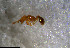  ( - RE21-NG1-HYM-1107)  @11 [ ] CreativeCommons by-nc-sa (2024) Nina Grella University of Bayreuth