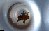  ( - RE21-NG1-HYM-1114)  @11 [ ] CreativeCommons by-nc-sa (2024) Nina Grella University of Bayreuth