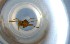  ( - RE21-NG1-HYM-1122)  @11 [ ] CreativeCommons by-nc-sa (2024) Nina Grella University of Bayreuth