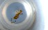  ( - RE21-NG1-HYM-1134)  @11 [ ] CreativeCommons by-nc-sa (2024) Nina Grella University of Bayreuth