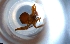  ( - RE21-NG1-HYM-1165)  @11 [ ] CreativeCommons by-nc-sa (2024) Nina Grella University of Bayreuth