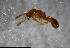  ( - RE21-NG1-HYM-1190)  @11 [ ] CreativeCommons by-nc-sa (2024) Nina Grella University of Bayreuth
