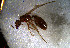  ( - RE21-NG1-HYM-1203)  @11 [ ] CreativeCommons by-nc-sa (2024) Nina Grella University of Bayreuth