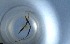  ( - RE21-NG1-HYM-1278)  @11 [ ] CreativeCommons by-nc-sa (2024) Nina Grella University of Bayreuth