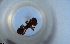  ( - RE21-NG1-HYM-1465)  @11 [ ] CreativeCommons by-nc-sa (2024) Nina Grella University of Bayreuth