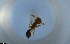  ( - RE21-NG1-HYM-1472)  @11 [ ] CreativeCommons by-nc-sa (2024) Nina Grella University of Bayreuth