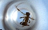  ( - RE21-NG1-HYM-1497)  @11 [ ] CreativeCommons by-nc-sa (2024) Nina Grella University of Bayreuth