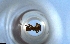  ( - RE21-NG1-HYM-1515)  @11 [ ] CreativeCommons by-nc-sa (2024) Nina Grella University of Bayreuth